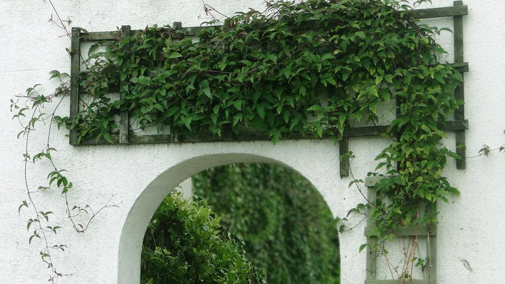 Jessamine House Hotel Gravesend Bagian luar foto